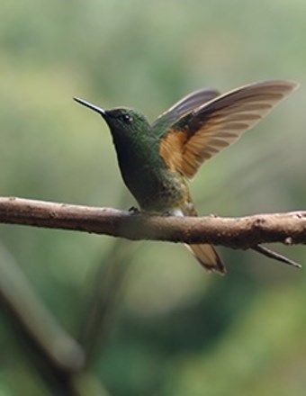 Avis de décès de Mio Yokochi