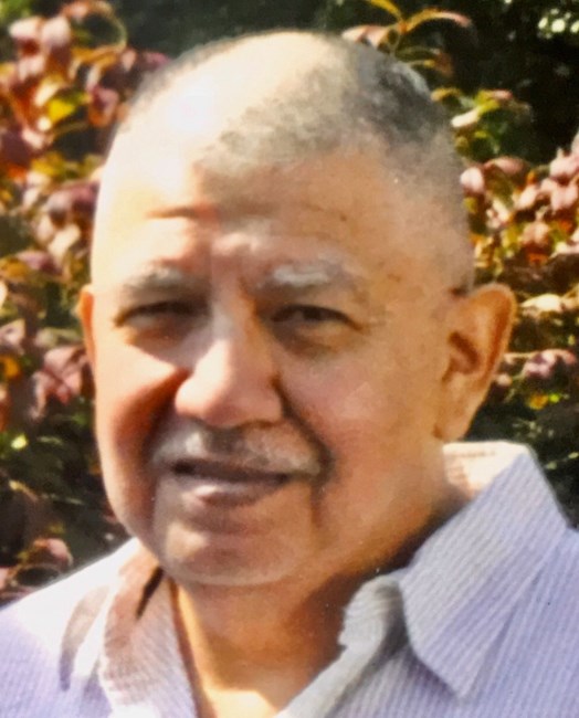 Obituary of Luis Solis