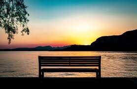 Obituary of Sharon Lynn Michener