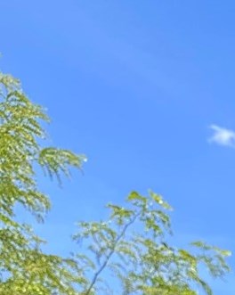 Brian Ridgeway Obituary - Columbus, OH