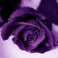 Obituary of Pedro Gomez-Iglesia