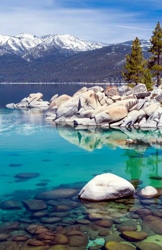 Obituary of Francisco Lerma Morales