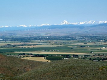 Obituary of Rochelle Ann McCollum