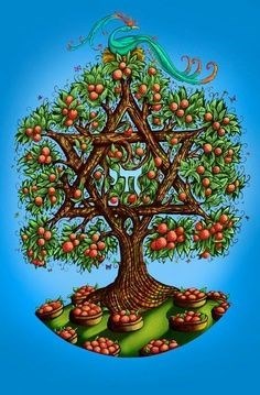 Obituary of Sylvia Weinstein