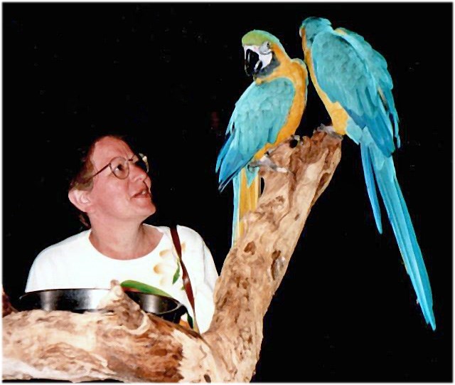 Obituary of Janette Theora Brill