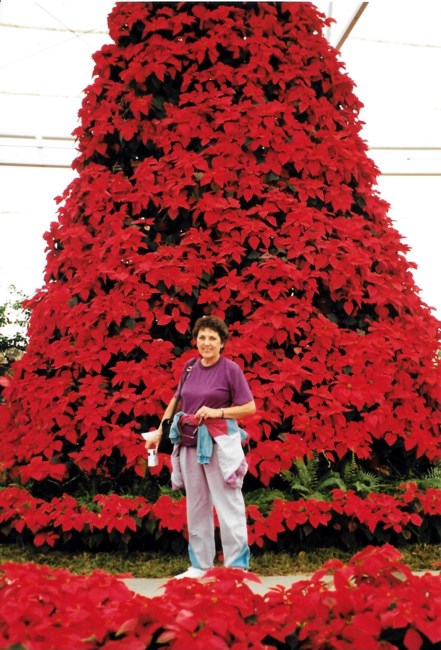 Obituary of Connie Lowry Watkins