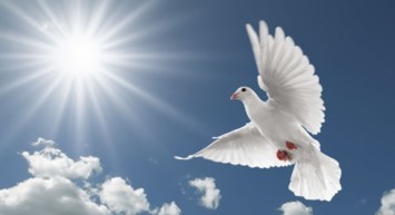Obituary of Edward Spencer Southerland