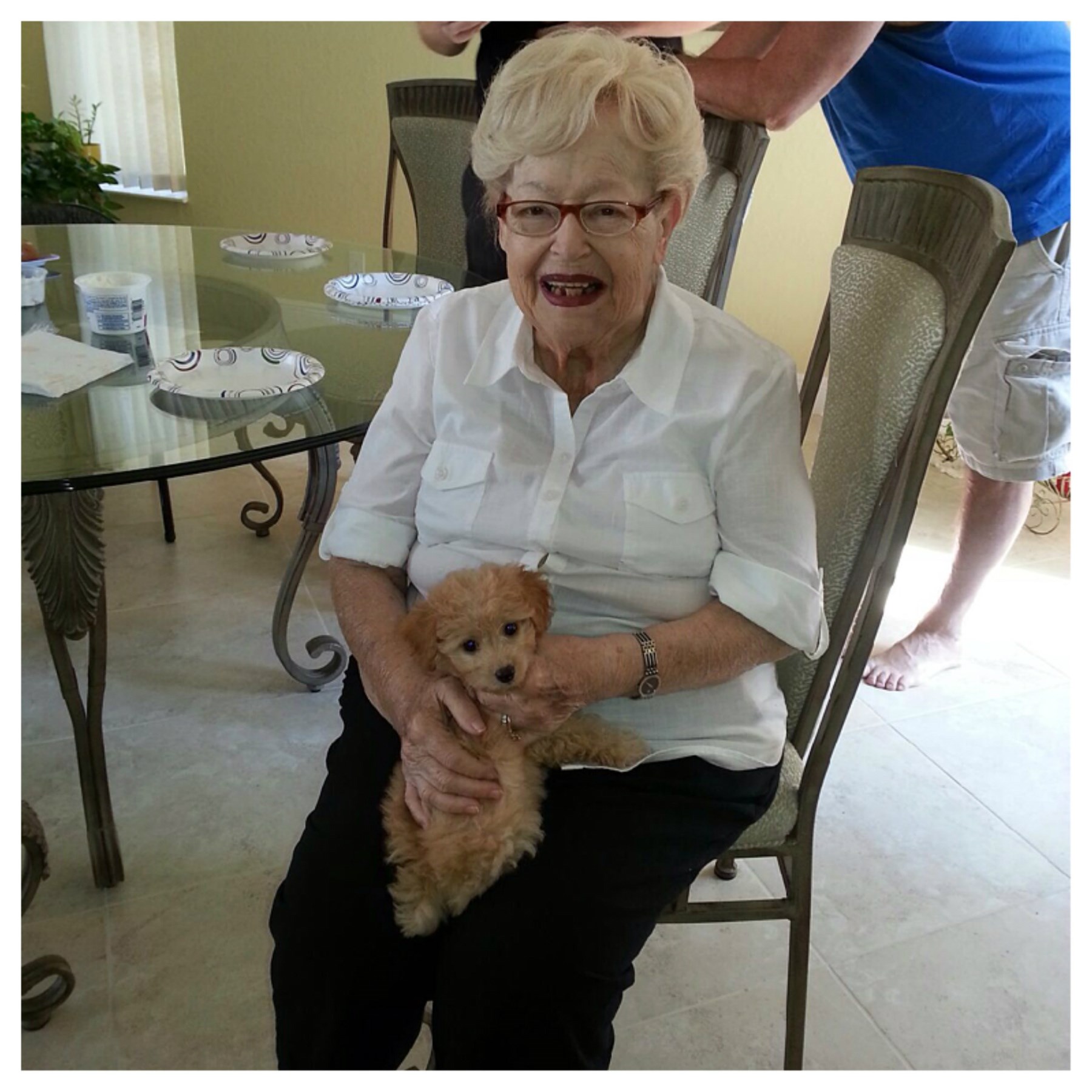 Obituary of Sandra Lee Cohen