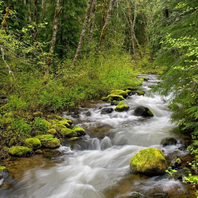 Obituario de Johnny Wilder