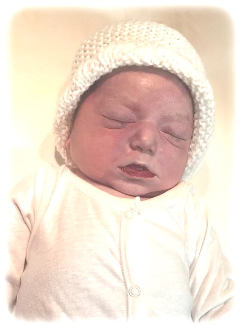 Obituary of Wesson Lee William Farmer