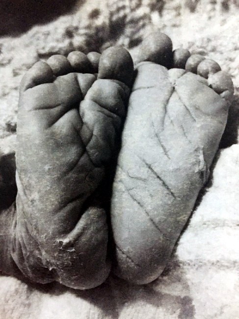 Obituario de David Adrian Torres