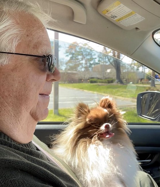 Proud Chihuahua Parent Car Sun Shade Proud Chihuahua Parent Car Sun Shade