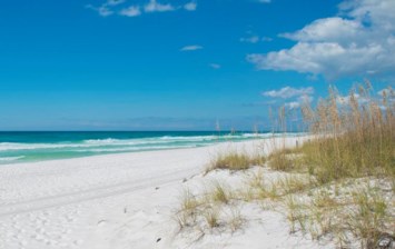 Obituary of Thomas John Sorace