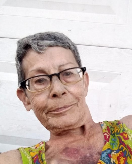 Obituary of Paula Lynn Bloom
