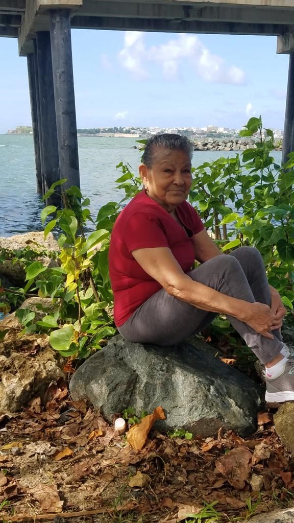 Obituario de Elisaura Santana Andino