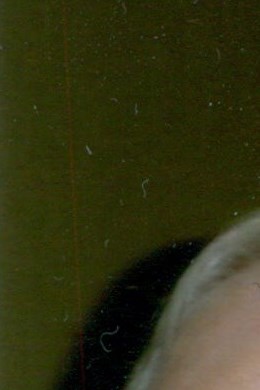 Edward B. Jarvis Obituary Victoria, BC