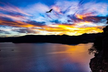 Obituary of William Howard Walls