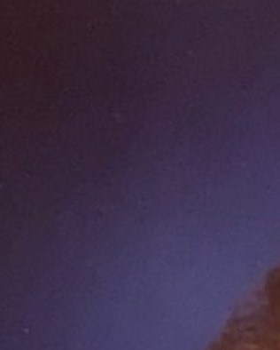 Elaine Monin Obituary West Seneca NY elaine-monin-obituary-west-seneca-ny