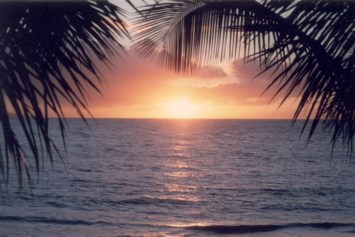 Obituary of Margaret Patricia Reynolds-Cambece