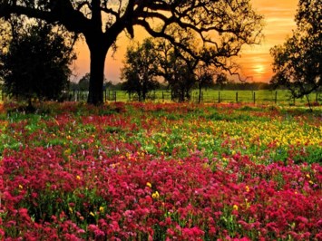 Obituary of Richard V Carmer