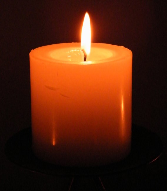 Obituary of Manh Thanh Ngo