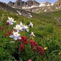 Obituary of Betty Jean Hall