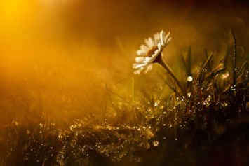 Obituary of Leora Ann Johnson