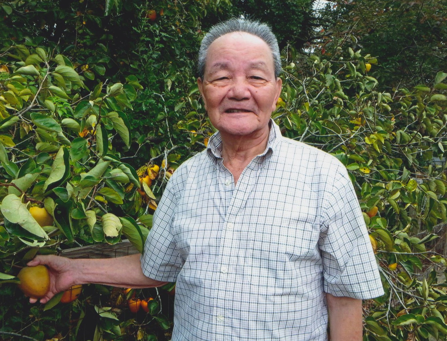 Obituary of Kam Mee Chow
