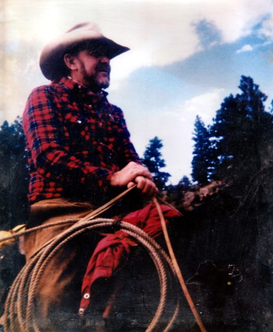 Obituary of Omer Lee Dalton