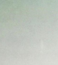 Guillermo Cerda Obituary Houston, TX