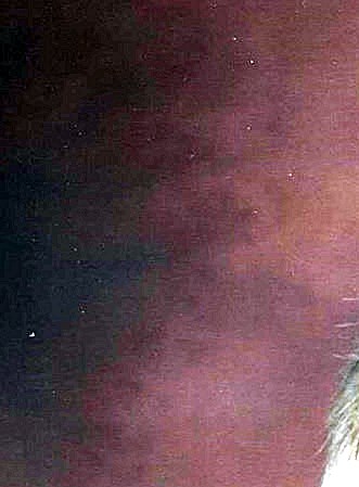 Robert William Scholz Obituary Woodbury, MN
