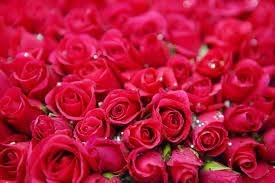 Obituary of Betty V. Shaw