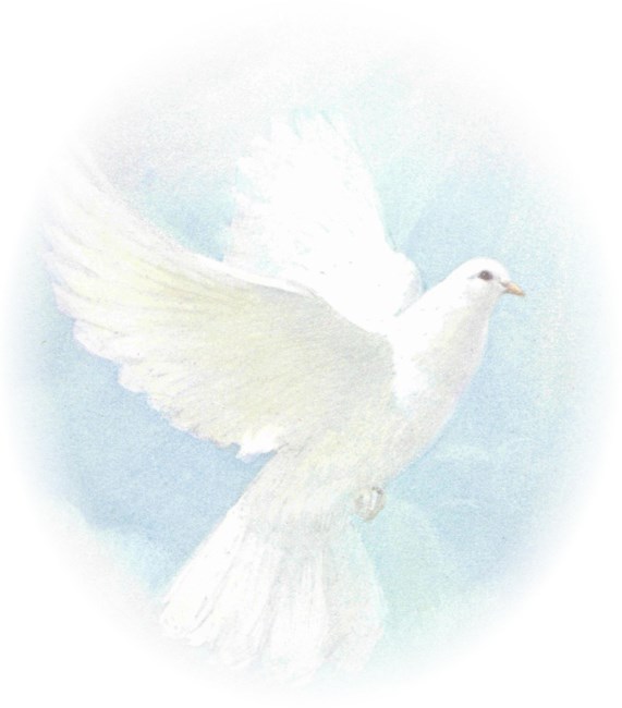 Obituary of Ashley Renee Dodge