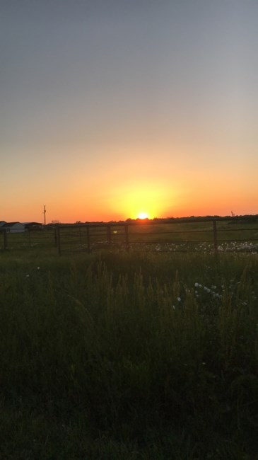 Obituary of Linda Lou Taylor