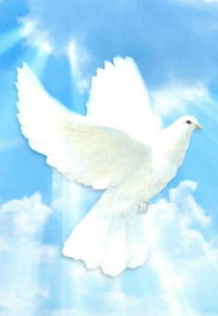 Obituary of Jesús J. Durand