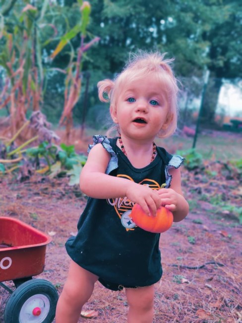 Obituary of Shiloh Root