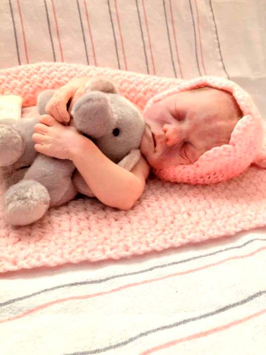 Obituary of Railynn Grace Greer