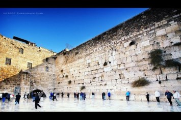 Obituary of Gertrude Cohen