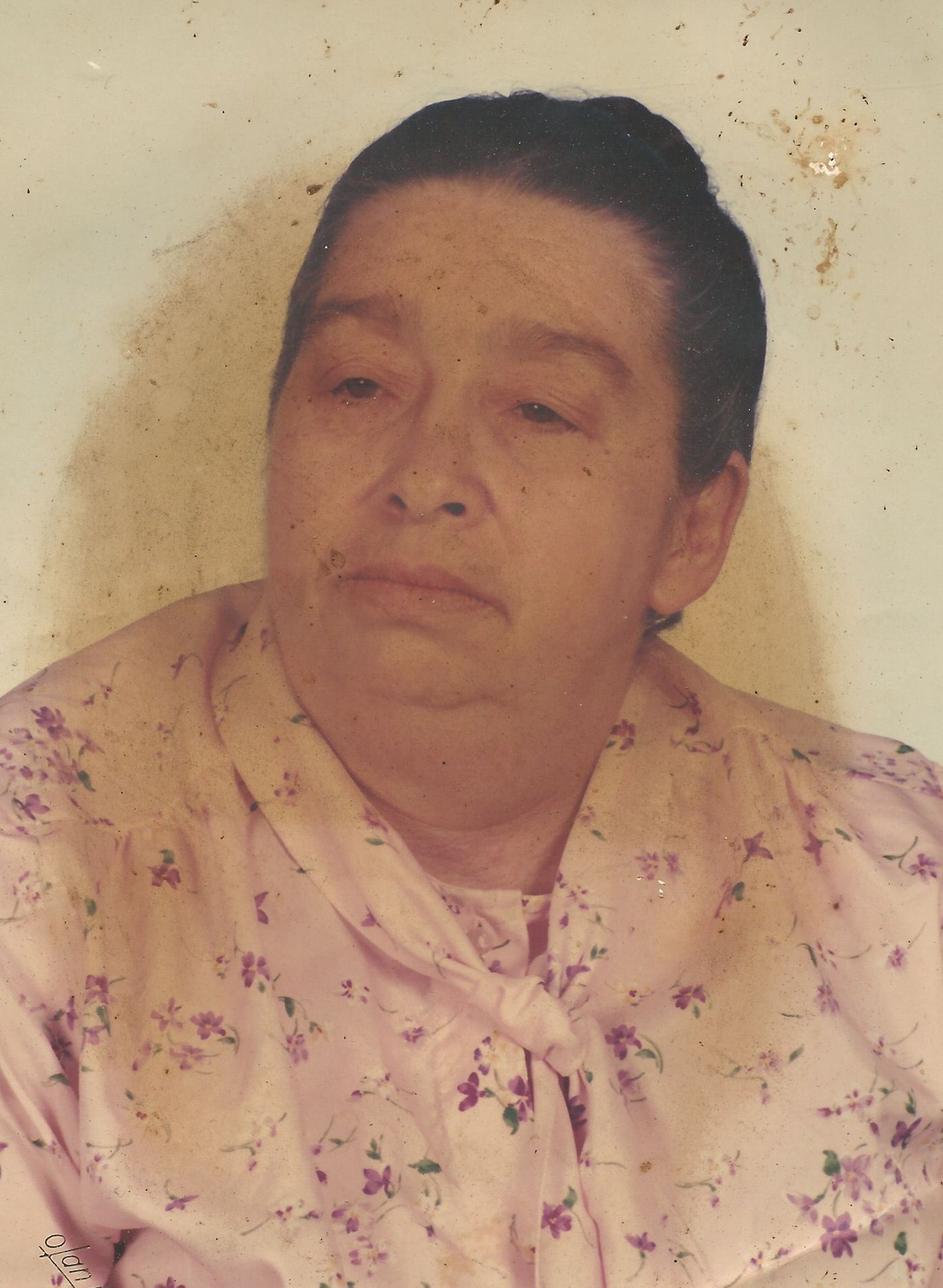 Obituary of Sarah Louise Gibson Beech