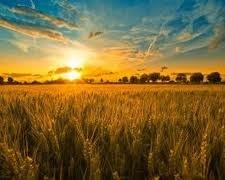 Obituary of William Mortimer Hoffer Jr.