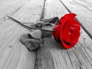 Obituary of Varonia Eloise Levy