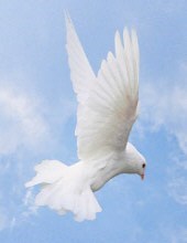 Obituary of Gary Phillip Sullivan
