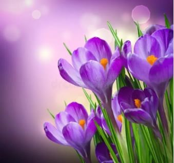 Obituary of R. Brent Coleman