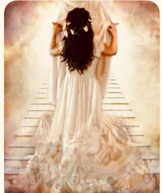 Obituary of Salina Jessica  Rose