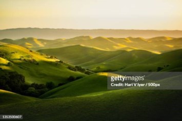 Obituary of Mukesh Mittal