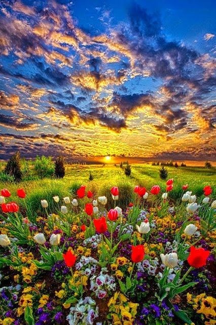 Avis de décès de Sylvia Anne Verburg