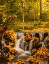 Obituary of Doris Virginia Whitney