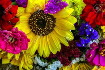 Obituary of Eileen Maloney