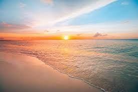 Obituary of David James Michael Murphy