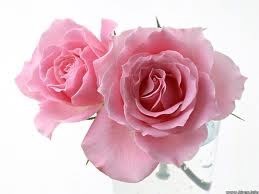 Obituary of Virginia R. Morris